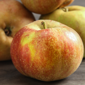 Äpfel Boskoop regional