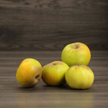 Äpfel Streuobst Wulksfelde