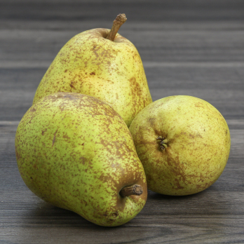 Birne D''Anjou Neue Ernte,