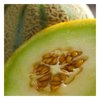 Honigmelone Galia ca 1 kg