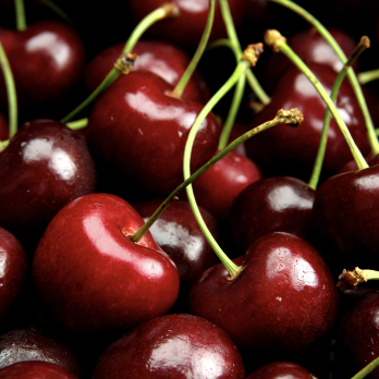 Kirschen rot