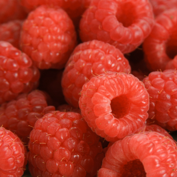 Himbeeren 125g