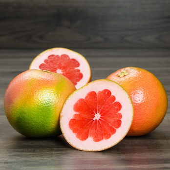 Grapefruit rose