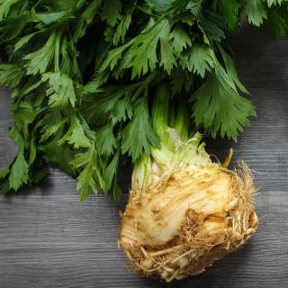 x Sellerieknolle mit Grün regional