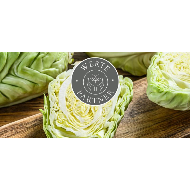 platzhalter
