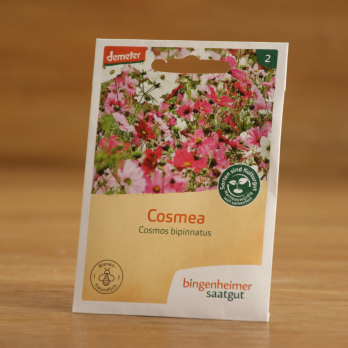 Saatgut Cosmea