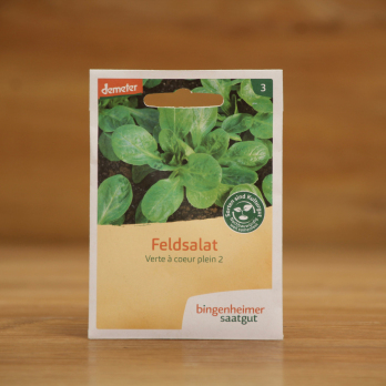 Saatgut Feldsalat dunkelgrün und vollherzig