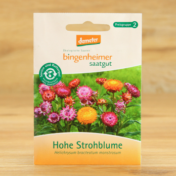 Saatgut  Hohe Strohblume
