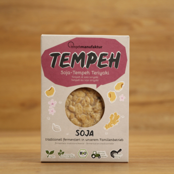 Tempeh Teriyaki
