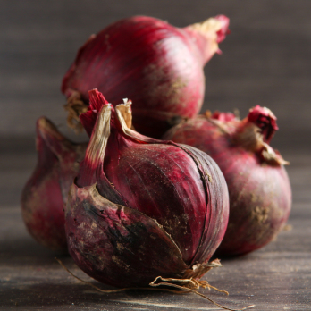 Zwiebeln rot