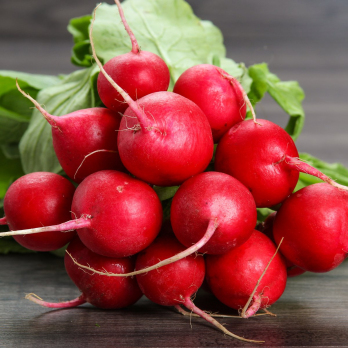 Radieschen Bund