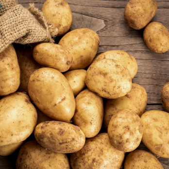 Kartoffeln fk Linda 2,5 kg