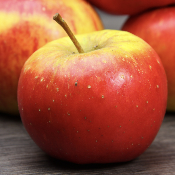 Äpfel Topaz Regional