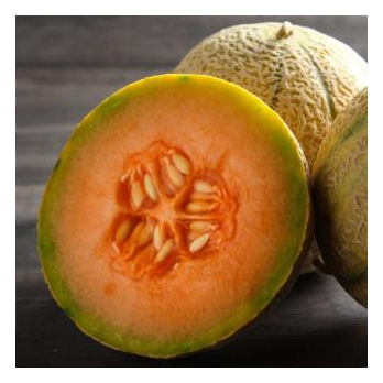 Honigmelone Charentais