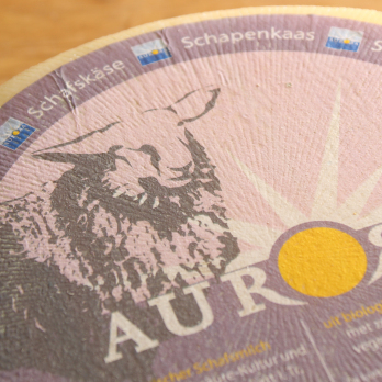 Schafgouda 50 %